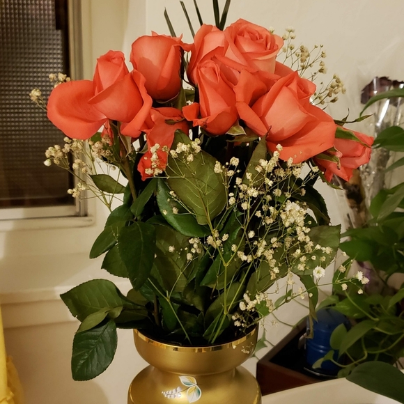 Meet your Posher, Shyl - Picture 1 of 1